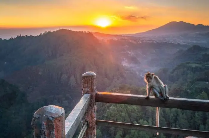 Tebing Keraton, Menikmati Panorama Alam Indah dengan View Sunset yang Memukau di Bandung
